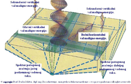 D&B d.o.o. radiestezija i bioenergija